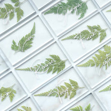Load image into Gallery viewer, numerous silver pressed fern wedding place cards
